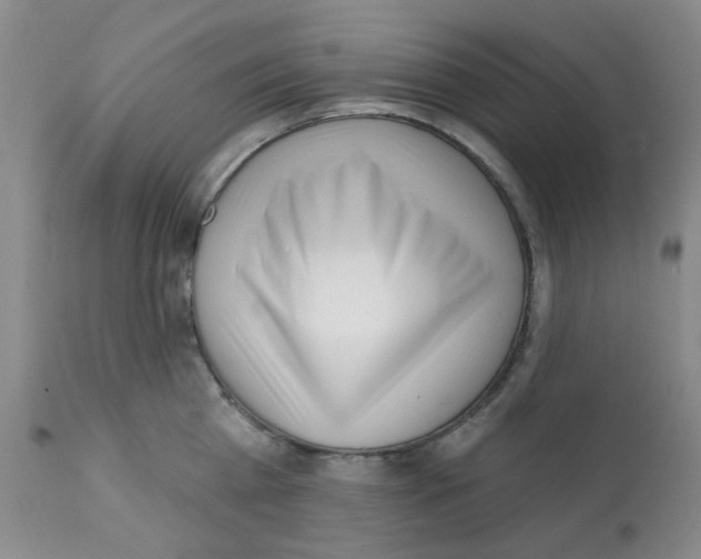 X0000112080809200909151111