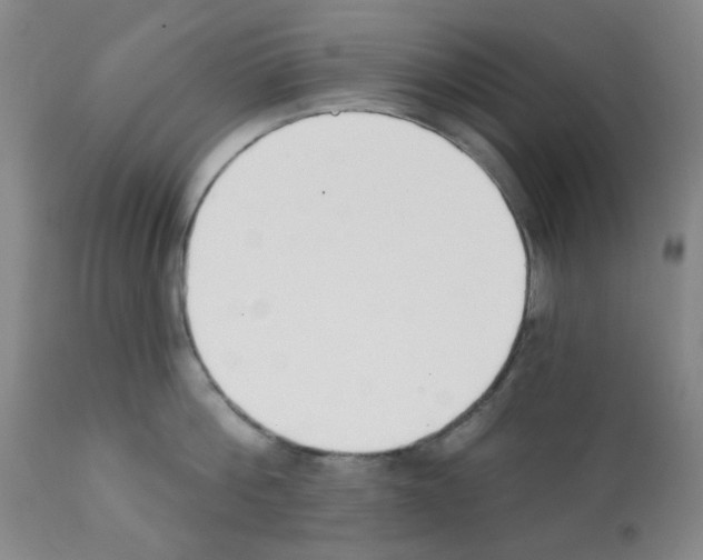 X0000112080812200909151111