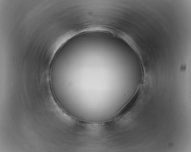 X0000112080813200909151111