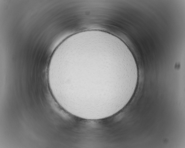 X0000112080814200909151111