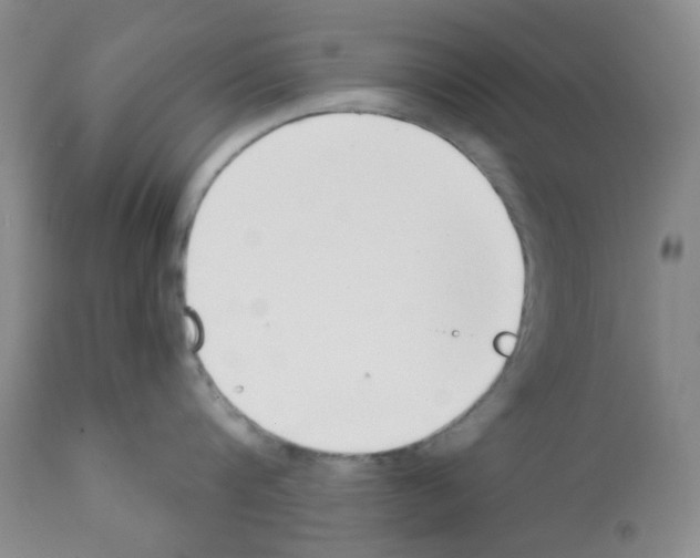 X0000112080816200909151111