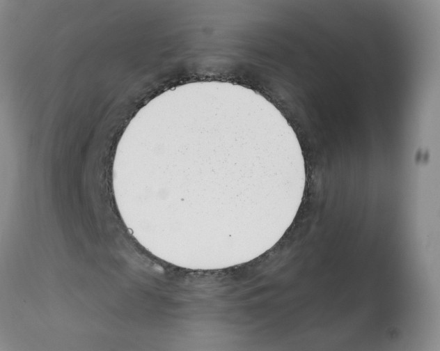 X0000112080817200909151110