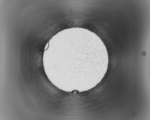X0000112080818200909151110