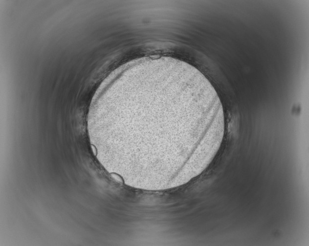 X0000112080819200909151110