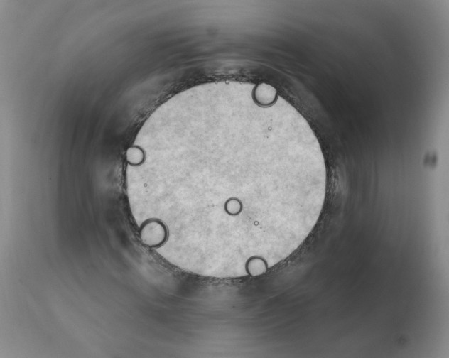 X0000112080820200909151110