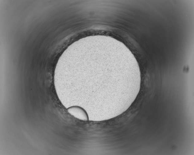 X0000112080821200909151110