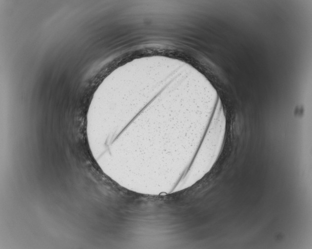 X0000112080822200909151110