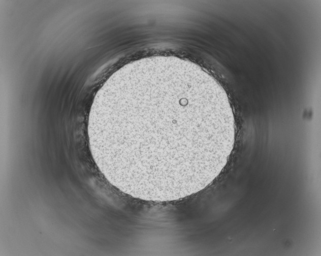 X0000112080824200909151110