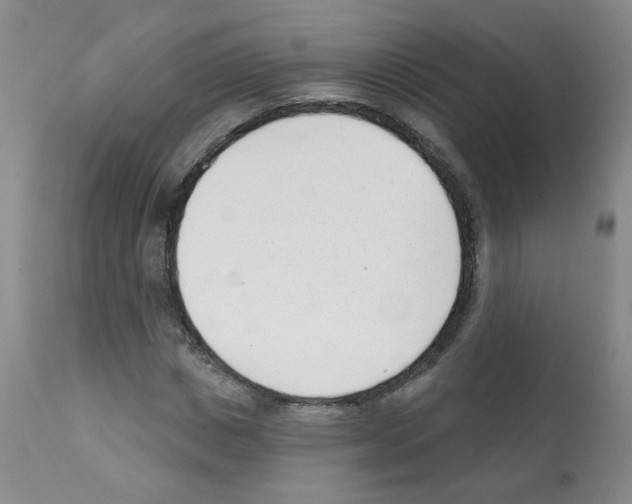 X0000112080825200909151110