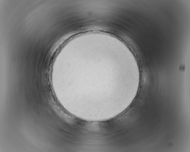 X0000112080828200909151110