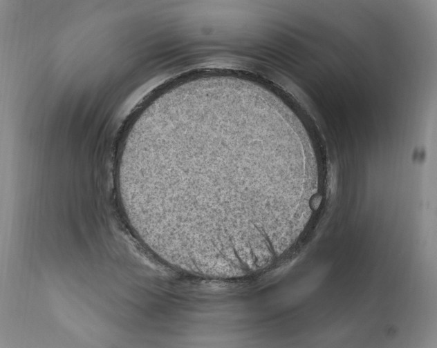 X0000112080829200909151110