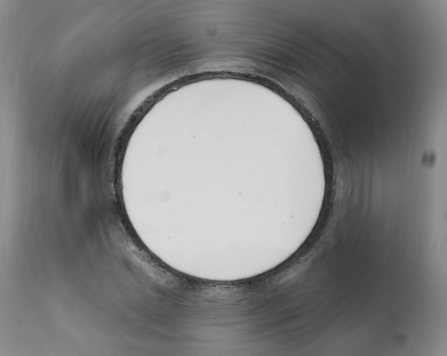 X0000112080830200909151111