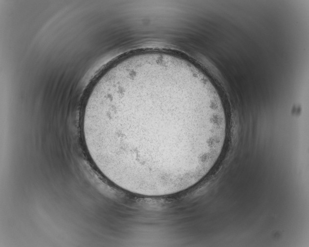 X0000112080831200909151111