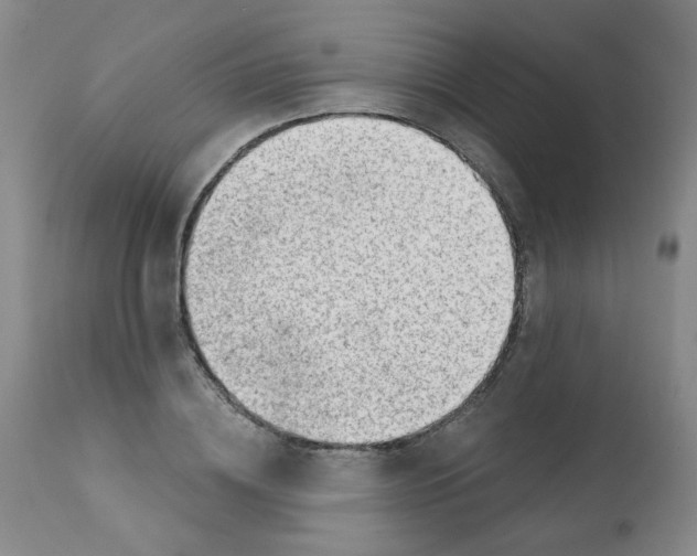 X0000112080836200909151111