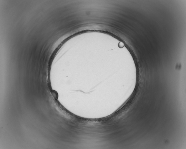 X0000112080837200909151111