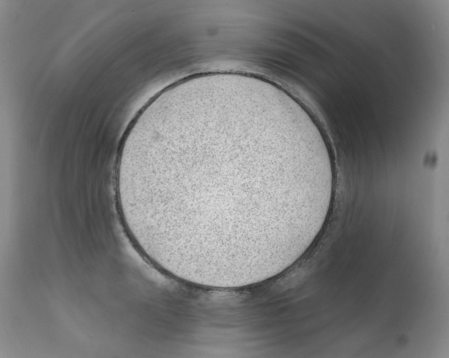 X0000112080847200909151111
