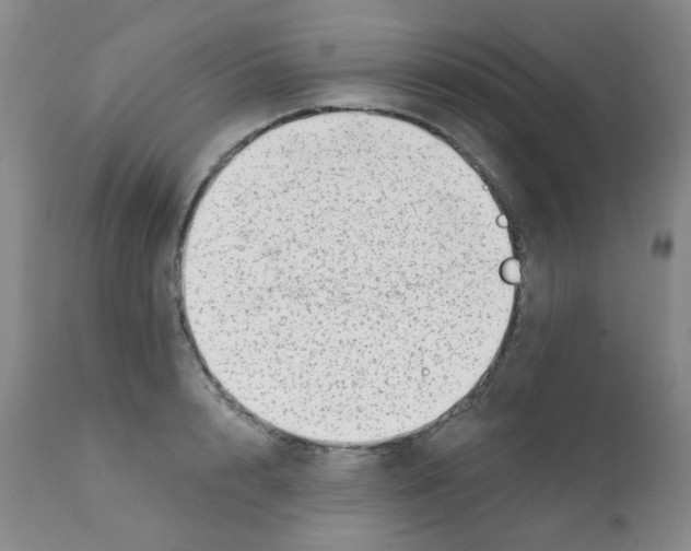 X0000112080848200909151111