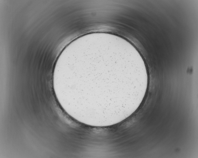 X0000112080850200909151111