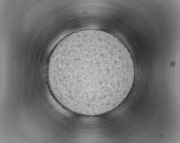 X0000112080851200909151111