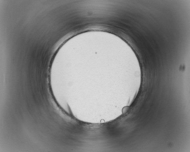 X0000112080853200909151111