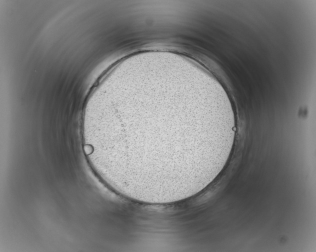 X0000112080855200909151111