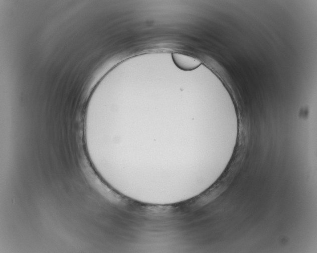 X0000112080859200909151111