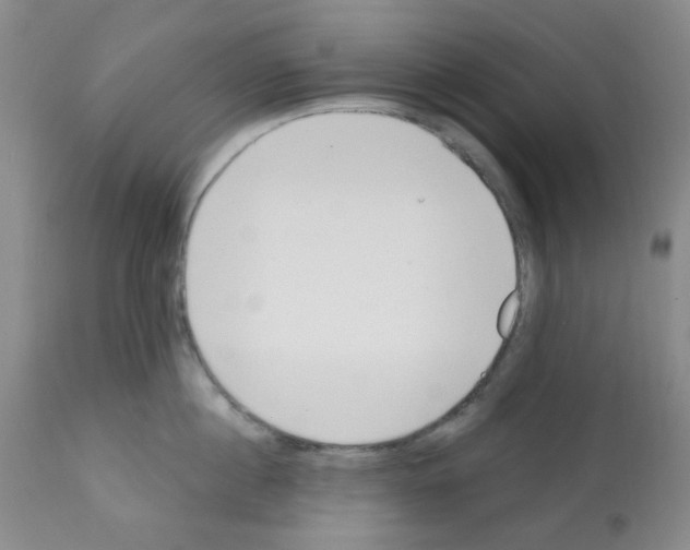 X0000112080860200909151111