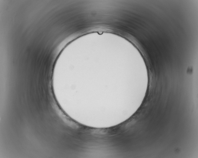 X0000112080861200909151111