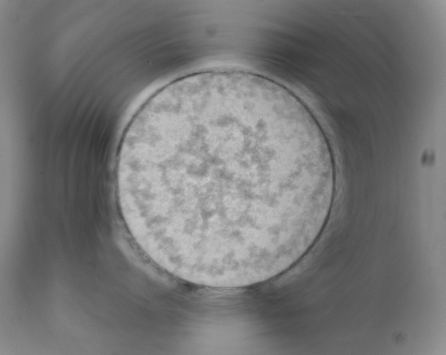 X0000112080864200909151111