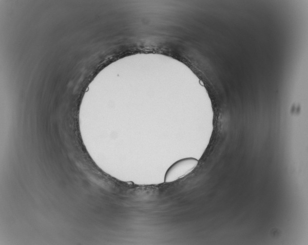 X0000112080865200909151110