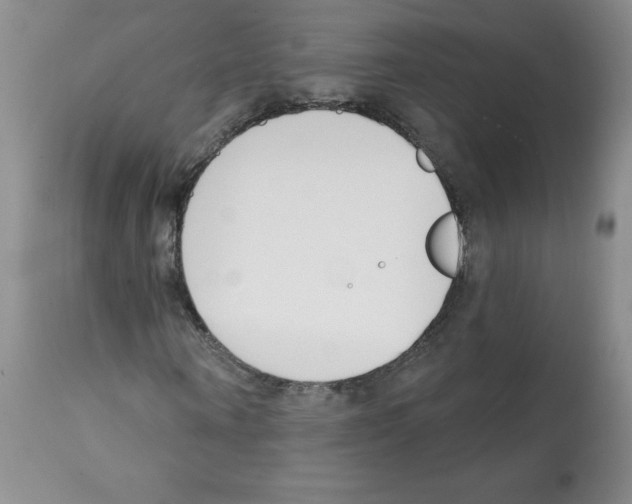 X0000112080866200909151110