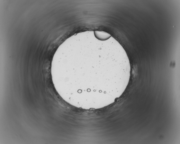 X0000112080867200909151110