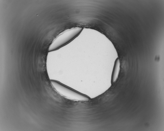 X0000112080868200909151110