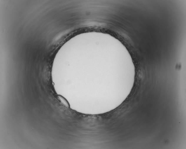 X0000112080869200909151110