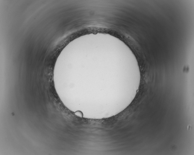 X0000112080870200909151110