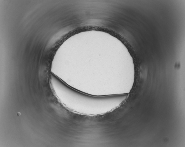 X0000112080872200909151110