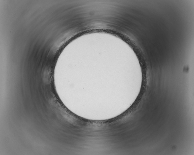 X0000112080873200909151110