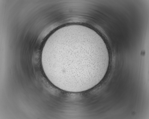 X0000112080874200909151110