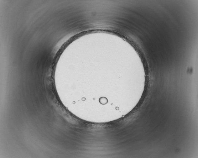 X0000112080875200909151110