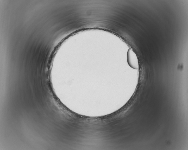 X0000112080876200909151110