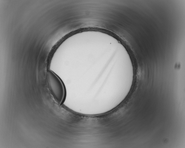 X0000112080877200909151110