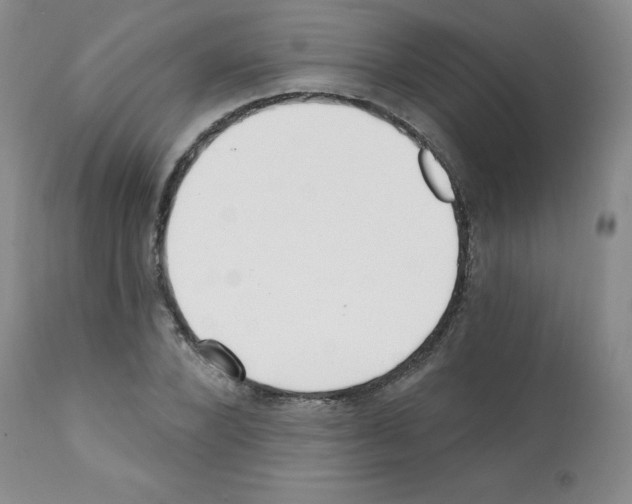 X0000112080880200909151110