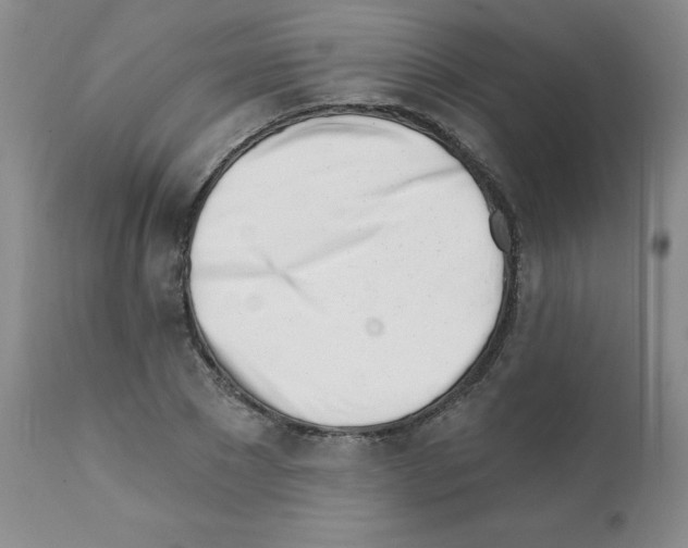 X0000112080881200909151110