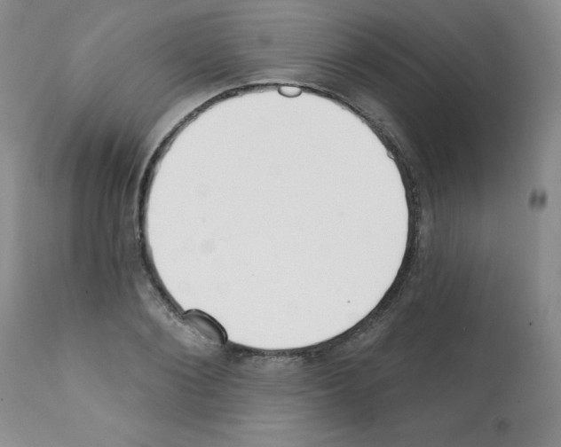 X0000112080884200909151110