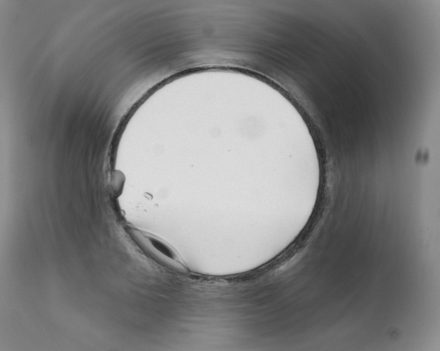 X0000112080885200909151110