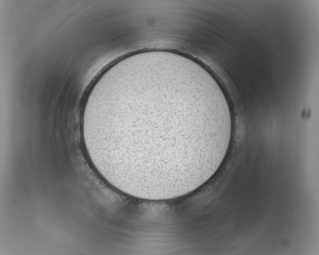 X0000112080886200909151110