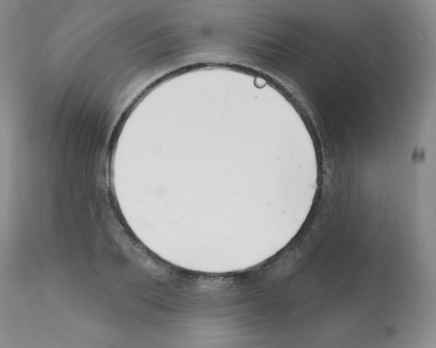 X0000112080887200909151110