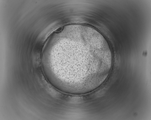 X0000112080889200909151110