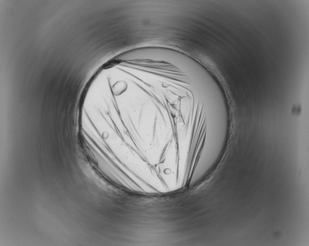 X0000112080892200909151110
