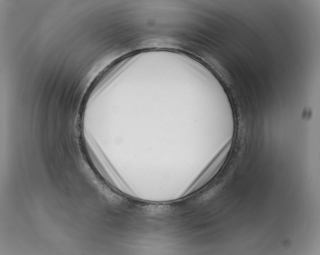 X0000112080893200909151110